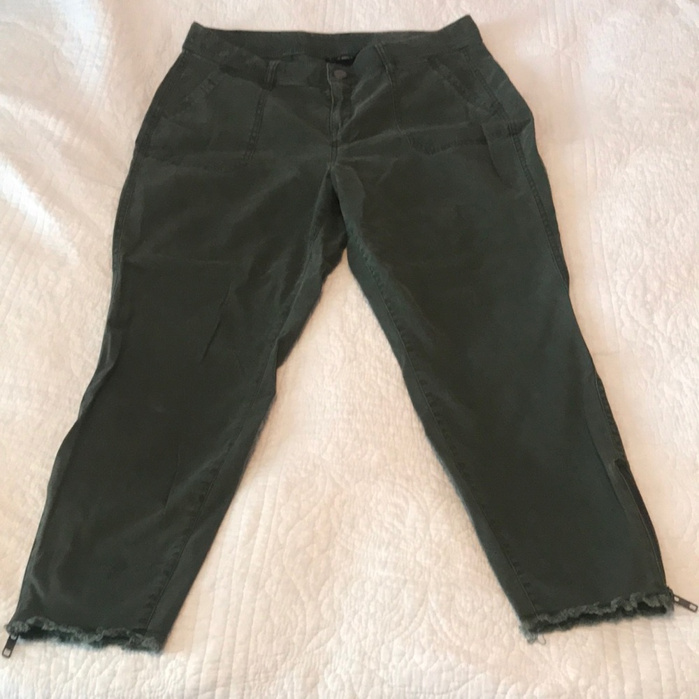 Lane Bryant Zipper Ankle Pants